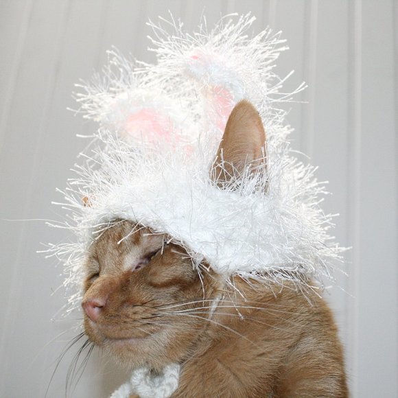 HAND CRAFTED Crochet Hairy Wig Bunny Ears Cat Hat Costume Photo Prop - Picture 4 of 8